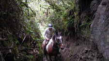 Ecuador-Highlands Riding Tours-Cloudforest & Crater Ride